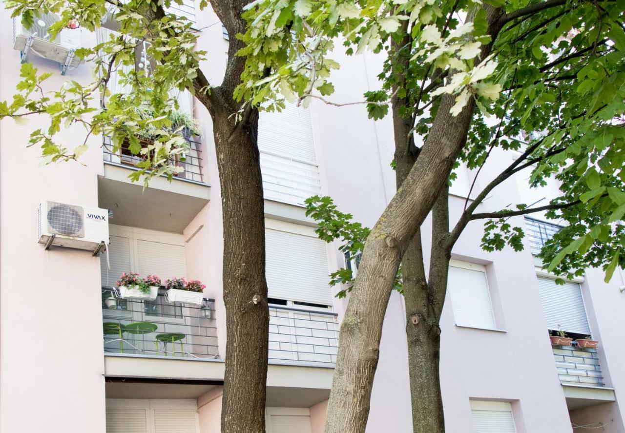 Apartman Ante Vinkovci Exteriör bild